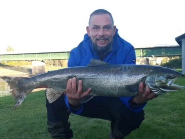 Lachs