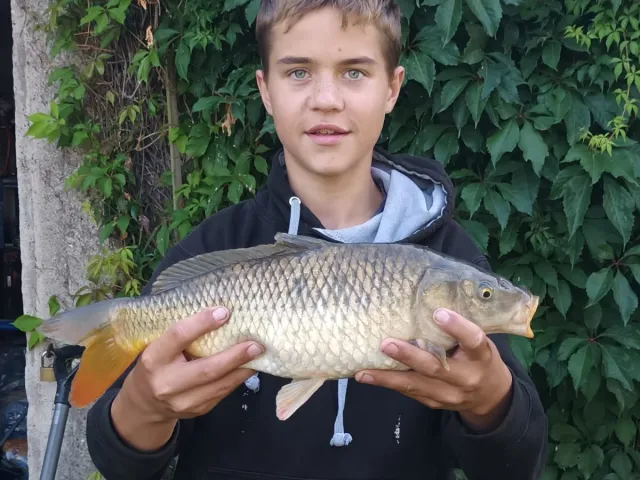 Karpfen