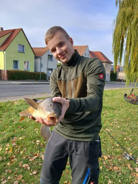 Karpfen
