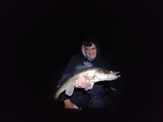 Zander