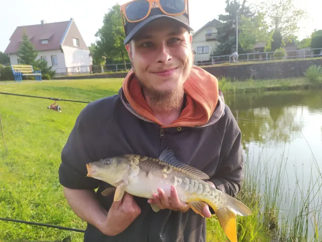 Karpfen
