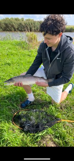Lachs