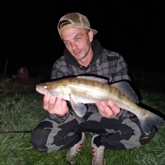 Zander