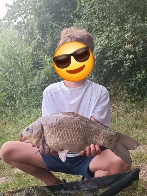 Giebel