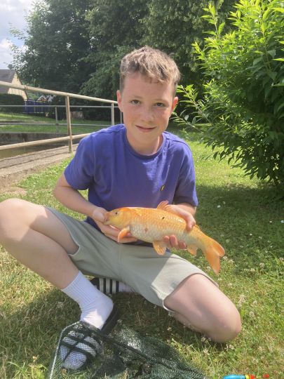 Goldfisch