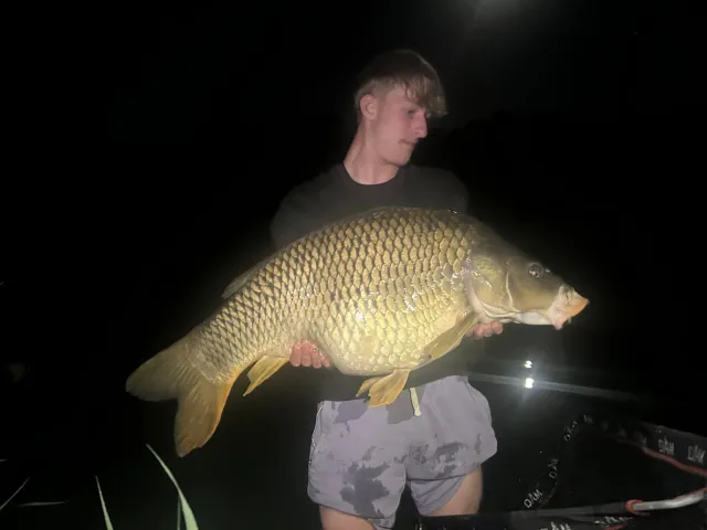Karpfen