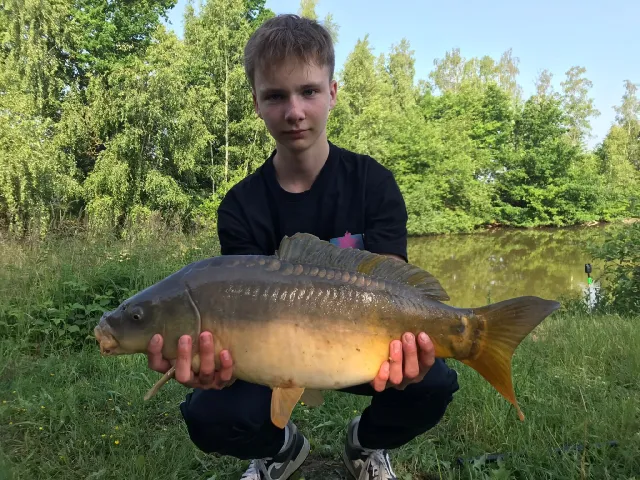 Karpfen