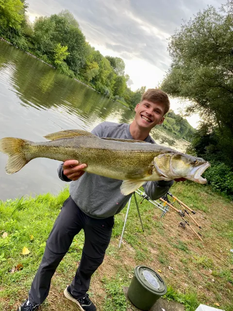 Zander