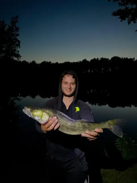 Zander