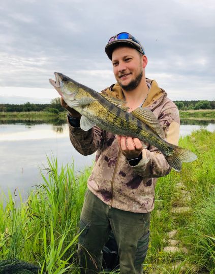 Zander