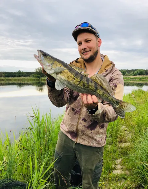 Zander