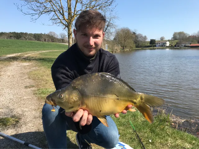 Karpfen