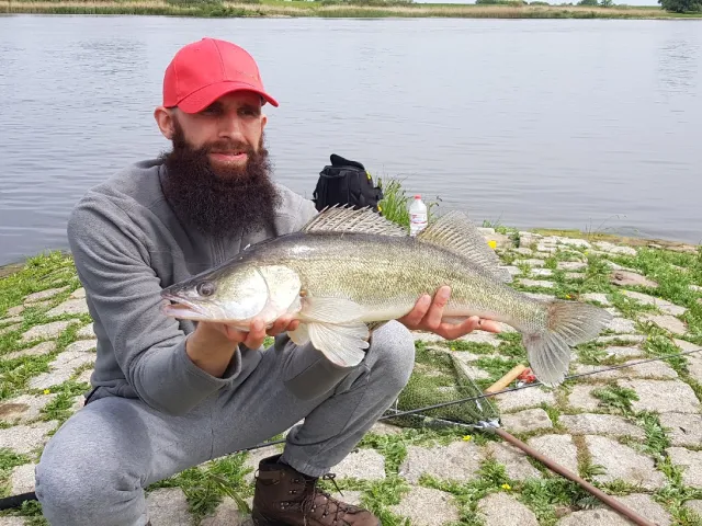 Zander