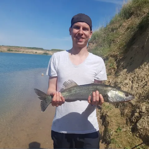Zander