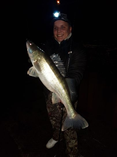 Zander