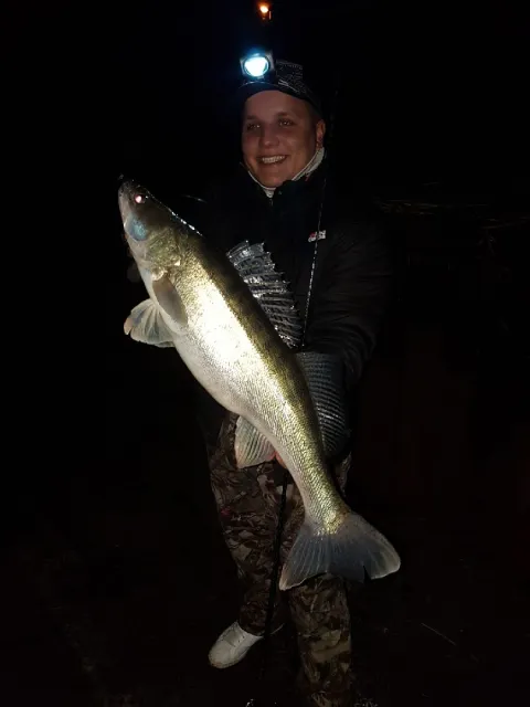 Zander