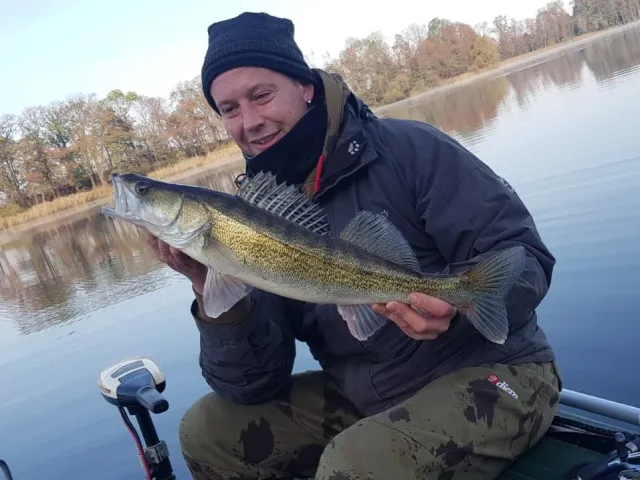 Zander
