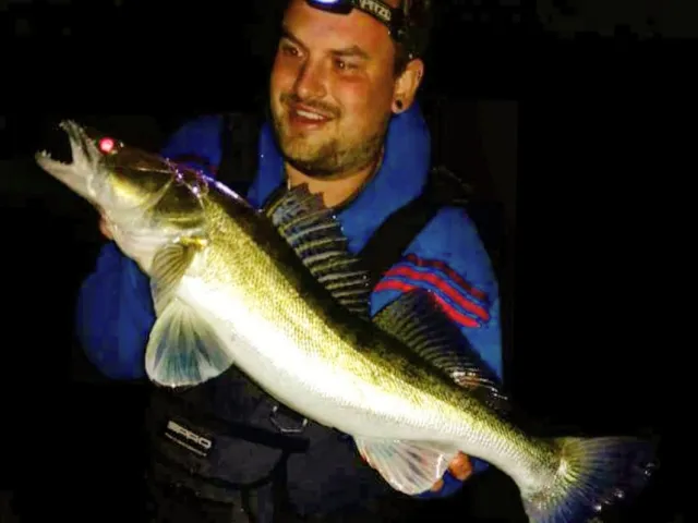 Zander