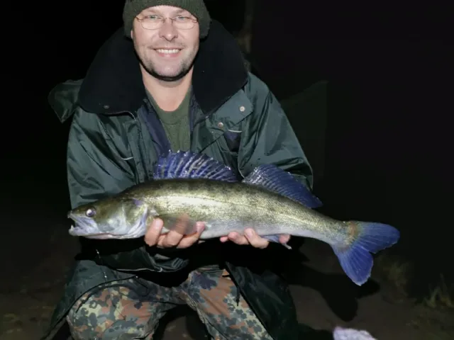 Zander