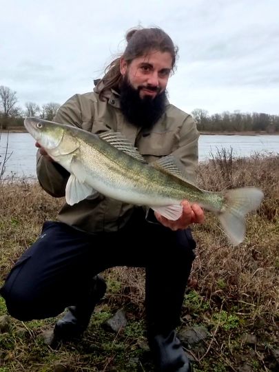 Zander