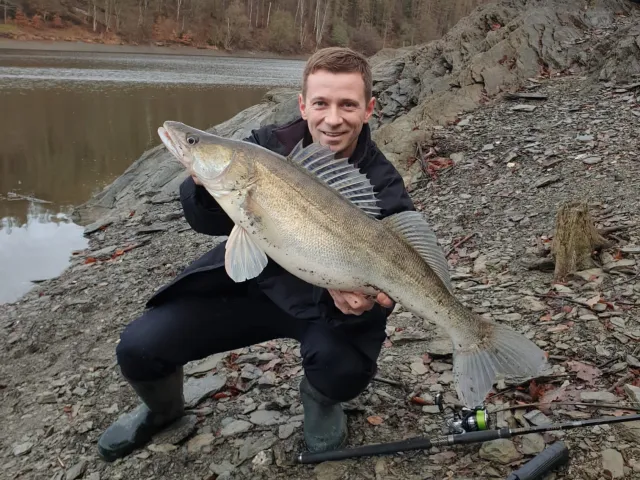 Zander
