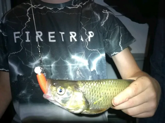 Döbel