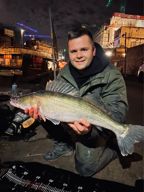 Zander