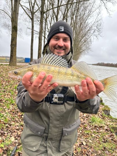Zander