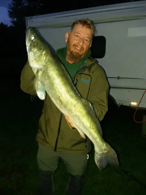 Zander