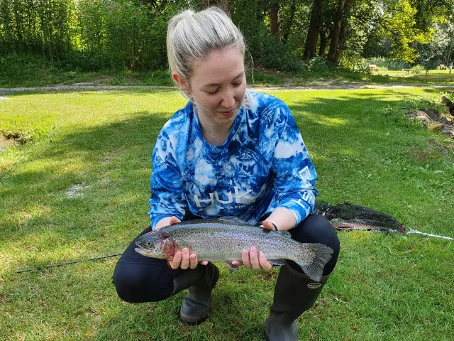Regenbogenforelle