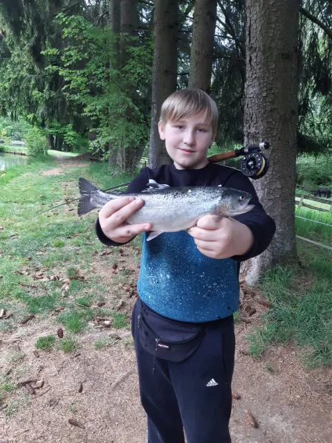 Regenbogenforelle