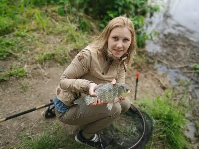 Karausche
