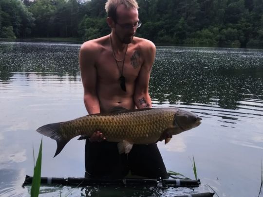 Graskarpfen