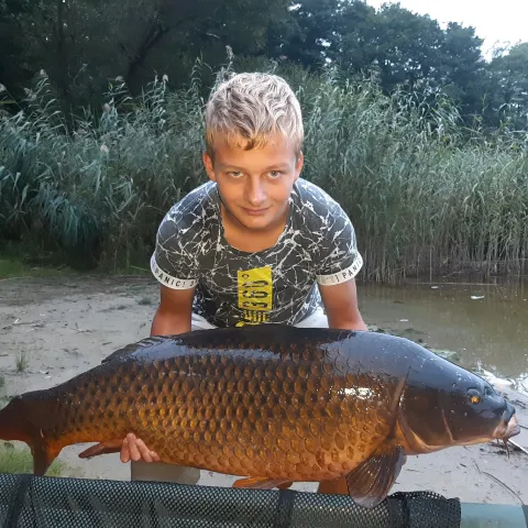 Karpfen
