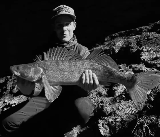 Zander