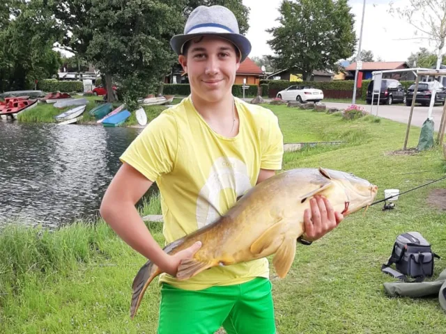 Karpfen