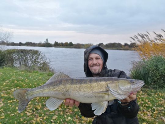 Zander