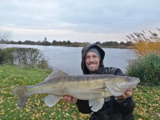 Zander