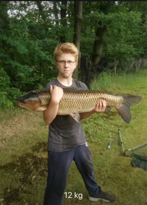 Graskarpfen