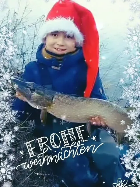 Hecht