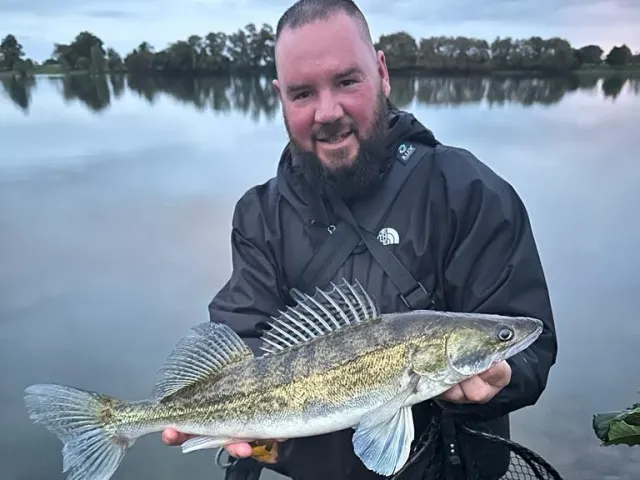 Zander