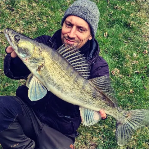 Zander