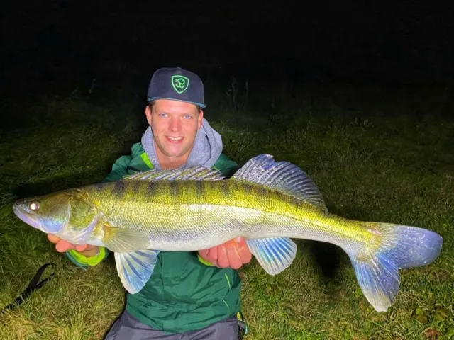 Zander