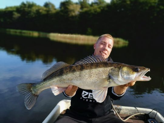 Zander