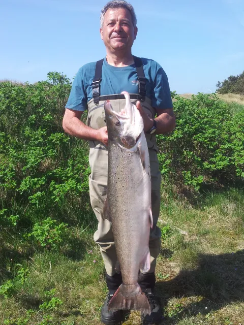Lachs