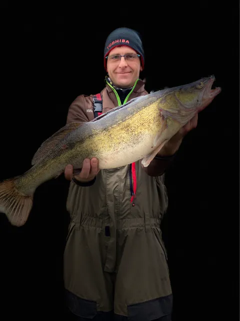Zander