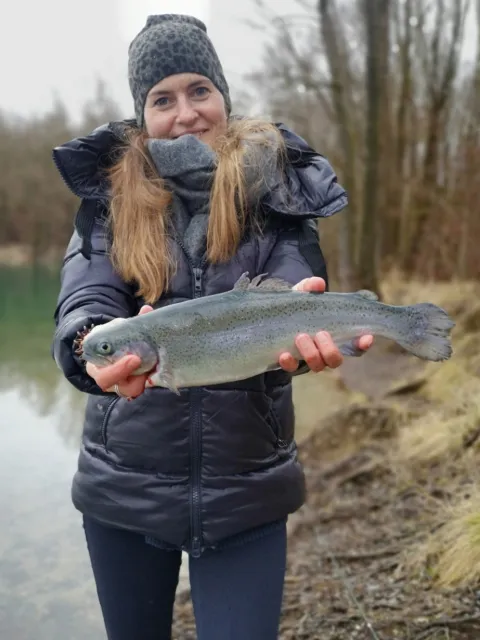 Regenbogenforelle