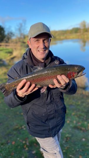 Regenbogenforelle