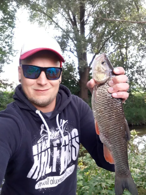 Döbel
