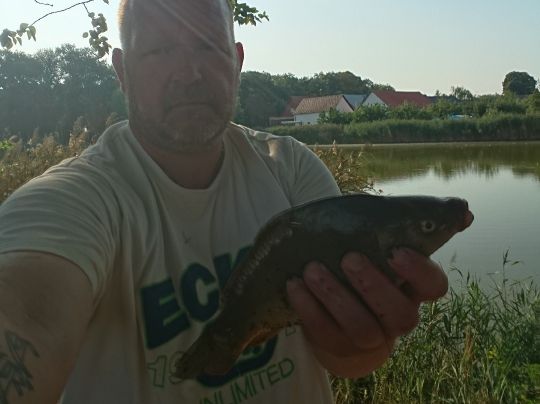 Karpfen